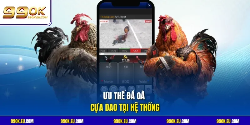 Ưu thế đá gà cựa dao tại hệ thống 